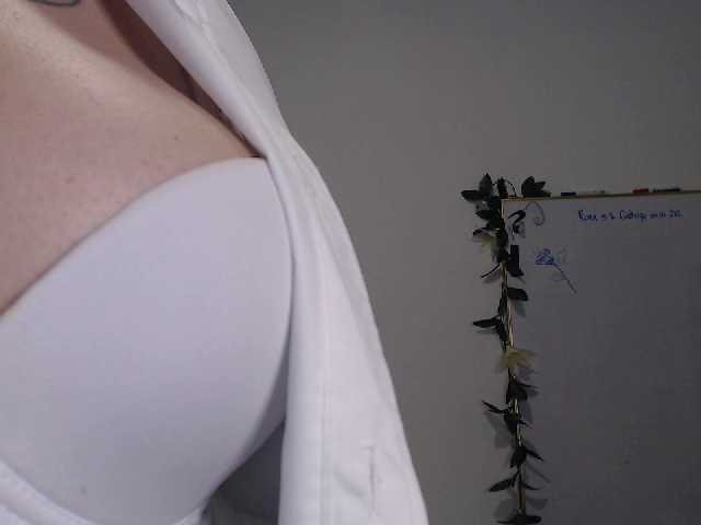 Трансляцияның скриншоттары AdaIson