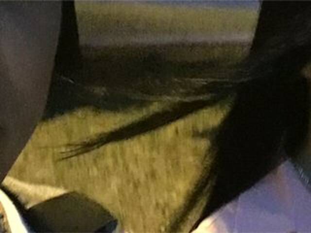 Трансляцияның скриншоттары Alinamax2