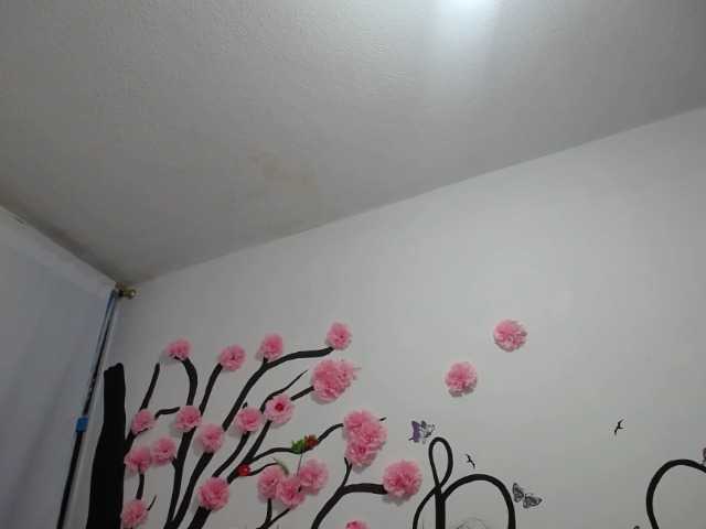 Трансляцияның скриншоттары RUBY-