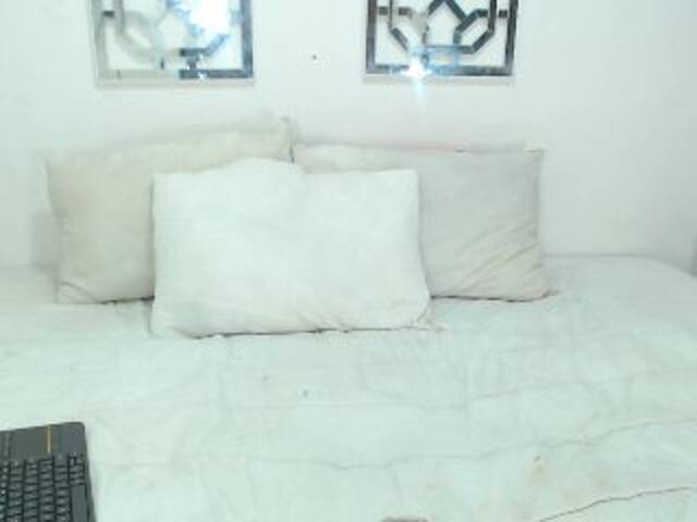 Трансляцияның скриншоттары Samysanders