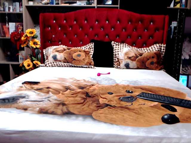 Трансляцияның скриншоттары CandyBigbooty