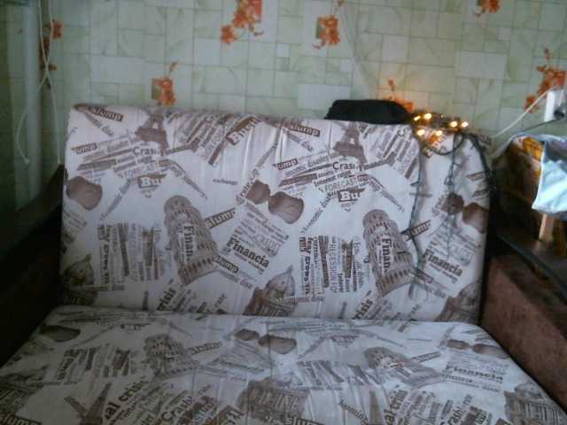 Трансляцияның скриншоттары DanFoxErin