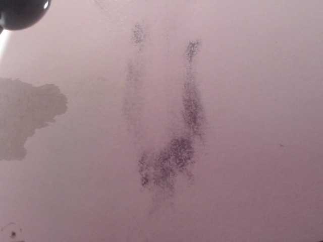 Трансляцияның скриншоттары fantasyebony