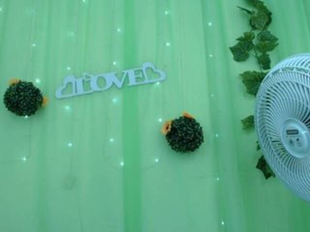 Трансляцияның скриншоттары graidy--fox