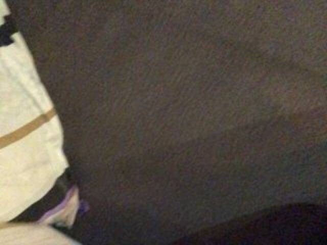 Трансляцияның скриншоттары Grappa01