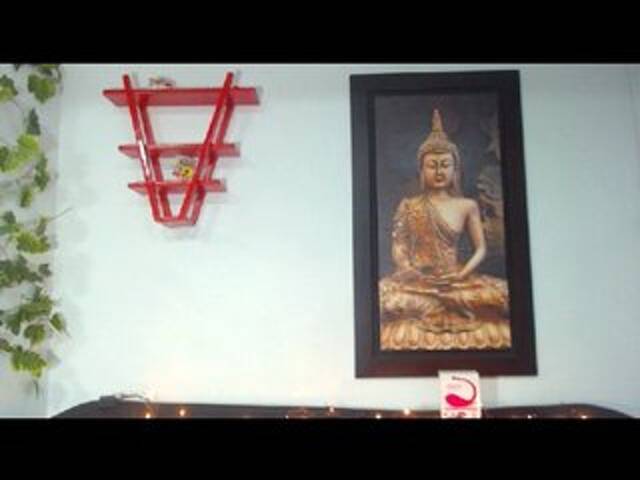 Трансляцияның скриншоттары HannaCavally