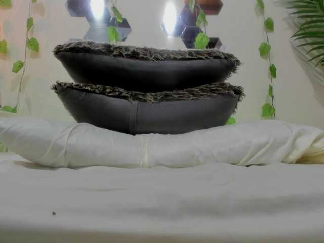 Трансляцияның скриншоттары Kitty-small