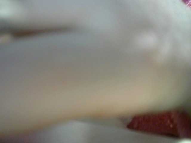 Трансляцияның скриншоттары t_w_i_n_k_l_e