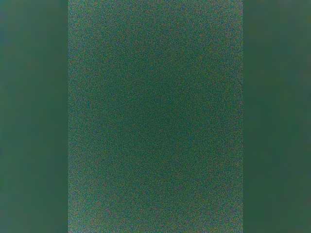 Трансляцияның скриншоттары Lisa_