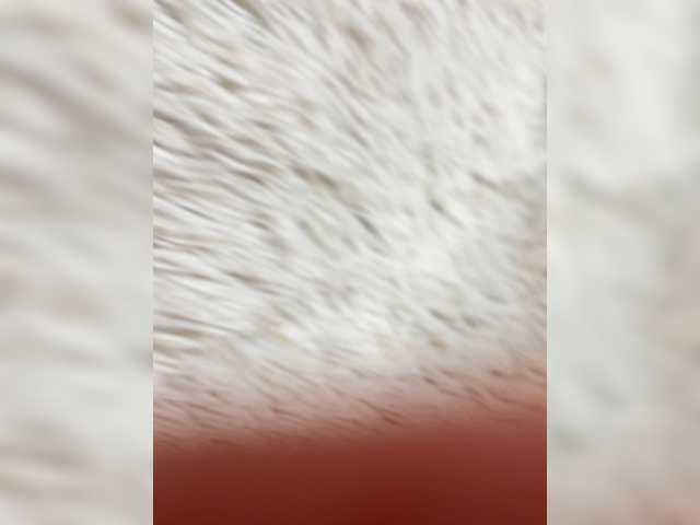 Трансляцияның скриншоттары loolipoop2