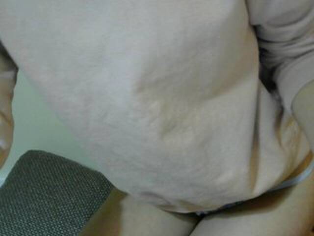 Трансляцияның скриншоттары Polydolly