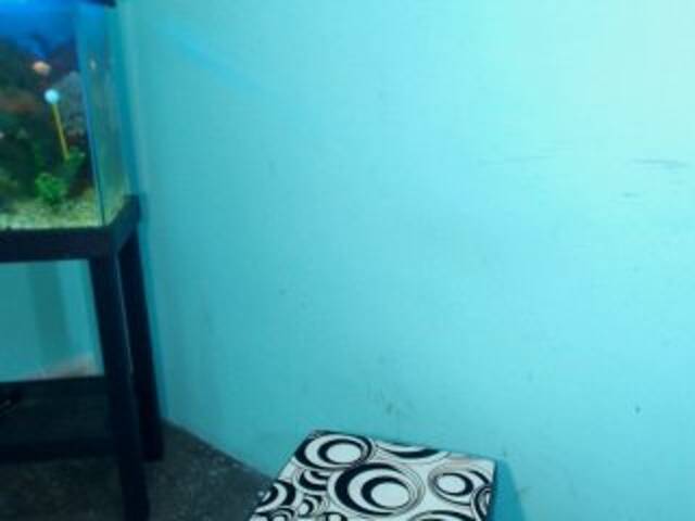 Трансляцияның скриншоттары sexxybetch1