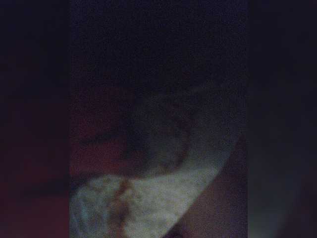 Трансляцияның скриншоттары small-cat