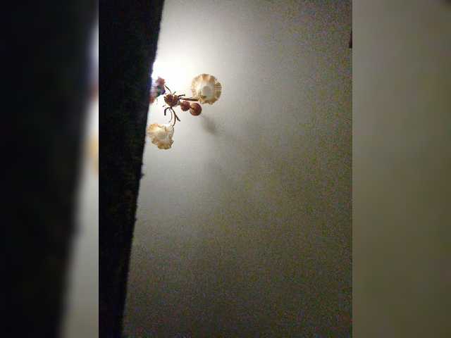 Трансляцияның скриншоттары SofiaHarris